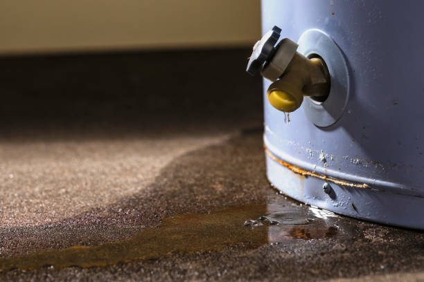 Best Flood damage cleanup  in West Brownsville, PA
