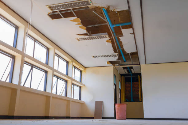 Best Flood damage cleanup  in West Brownsville, PA