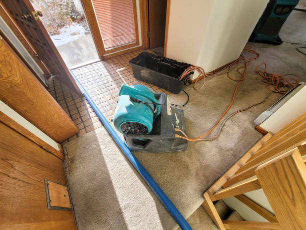 Best Carpet water damage restoration  in West Brownsville, PA