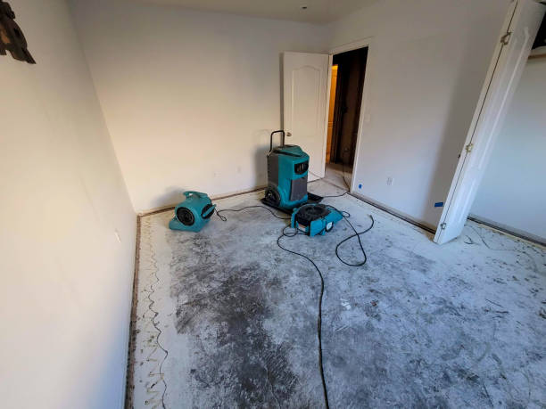 Best Water damage restoration company  in West Brownsville, PA