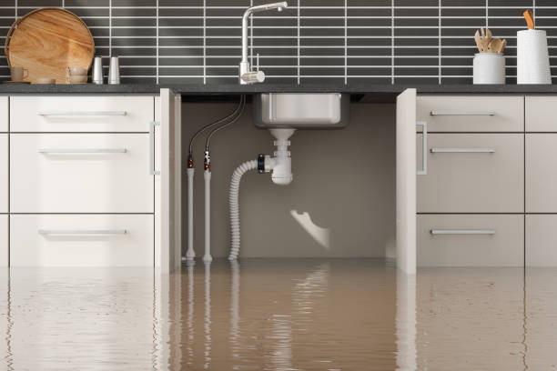 Best 24-hour water damage restoration  in West Brownsville, PA