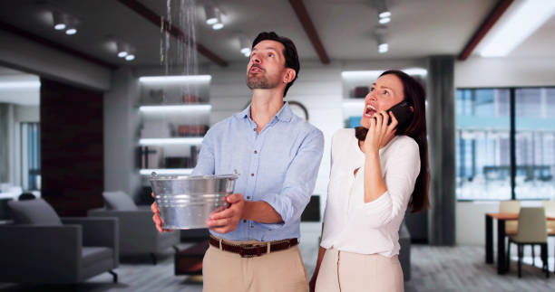 Best Ceiling water damage repair  in West Brownsville, PA