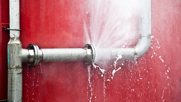 Best Mold removal after water damage  in West Brownsville, PA